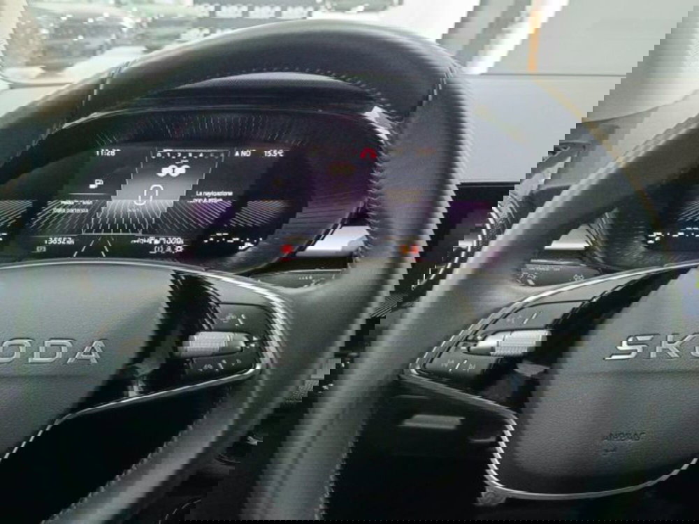 Skoda Fabia usata a Catania (18)