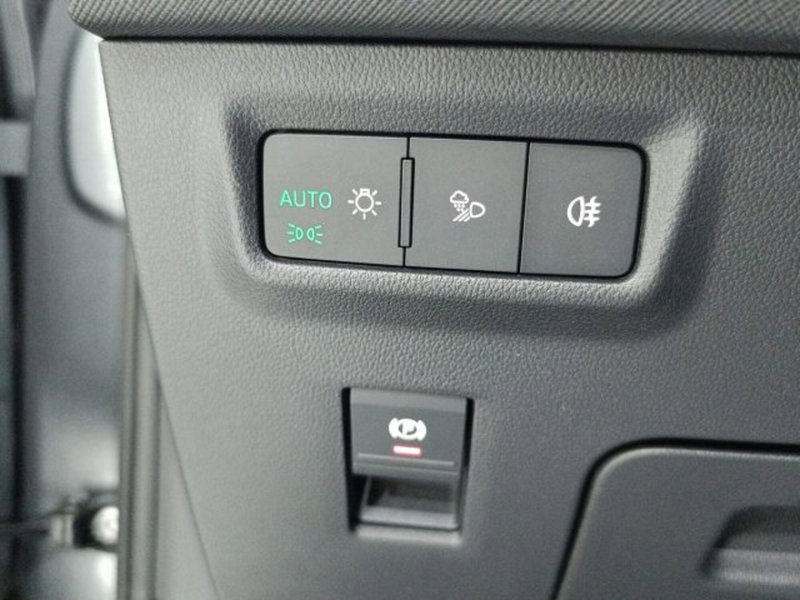 Skoda Kodiaq usata a Catania (18)