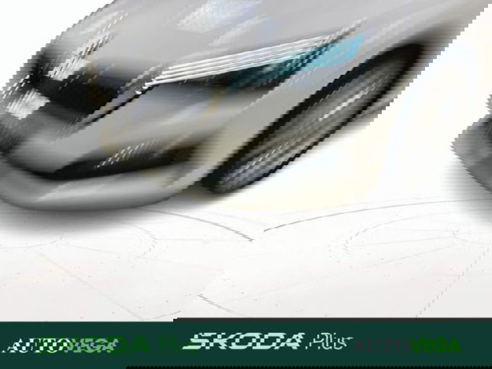 Skoda Scala usata a Vicenza (20)