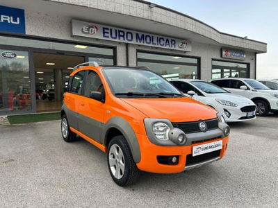 Fiat Panda 1.3 MJT 16V 4x4 Cross del 2006 usata a Campodipietra
