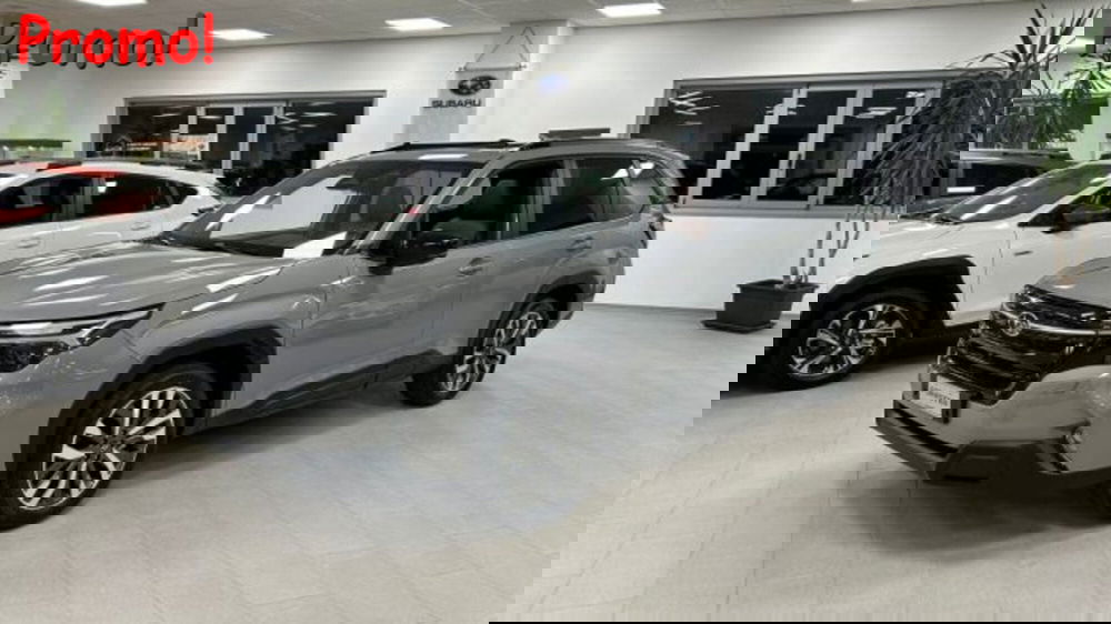 Subaru Forester nuova a Campobasso (11)