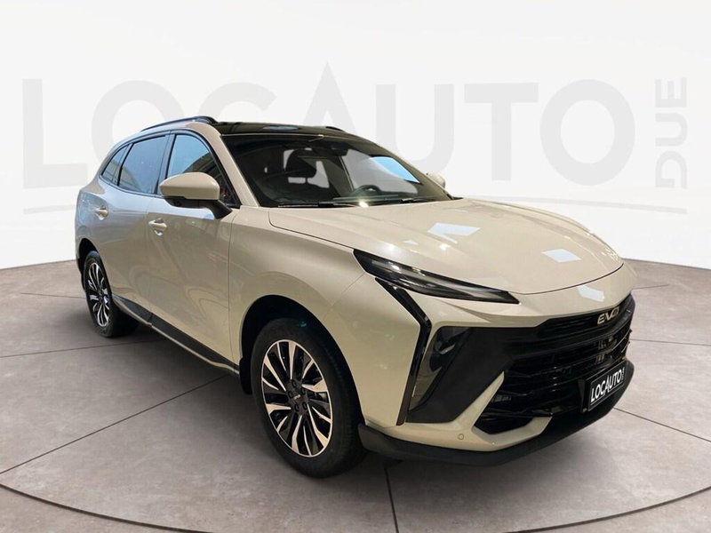 Evo Evo 6 II usata a Torino (3)