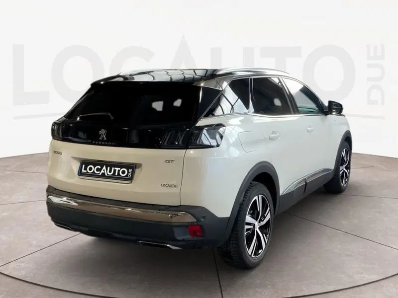 Peugeot 3008 usata a Torino (4)