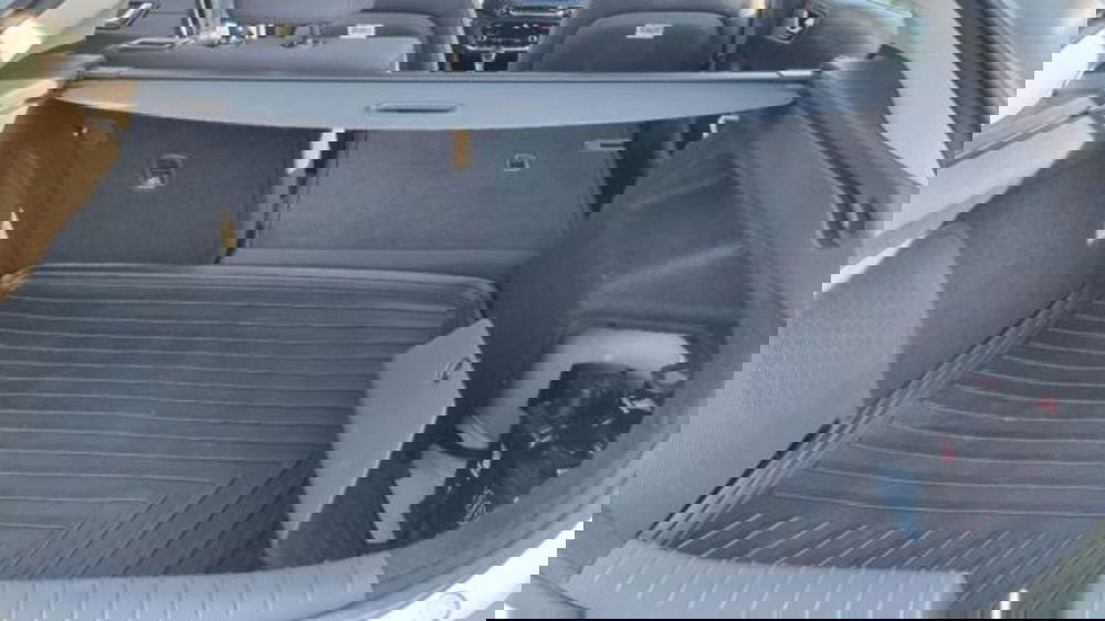 Hyundai Ioniq usata a Savona (14)