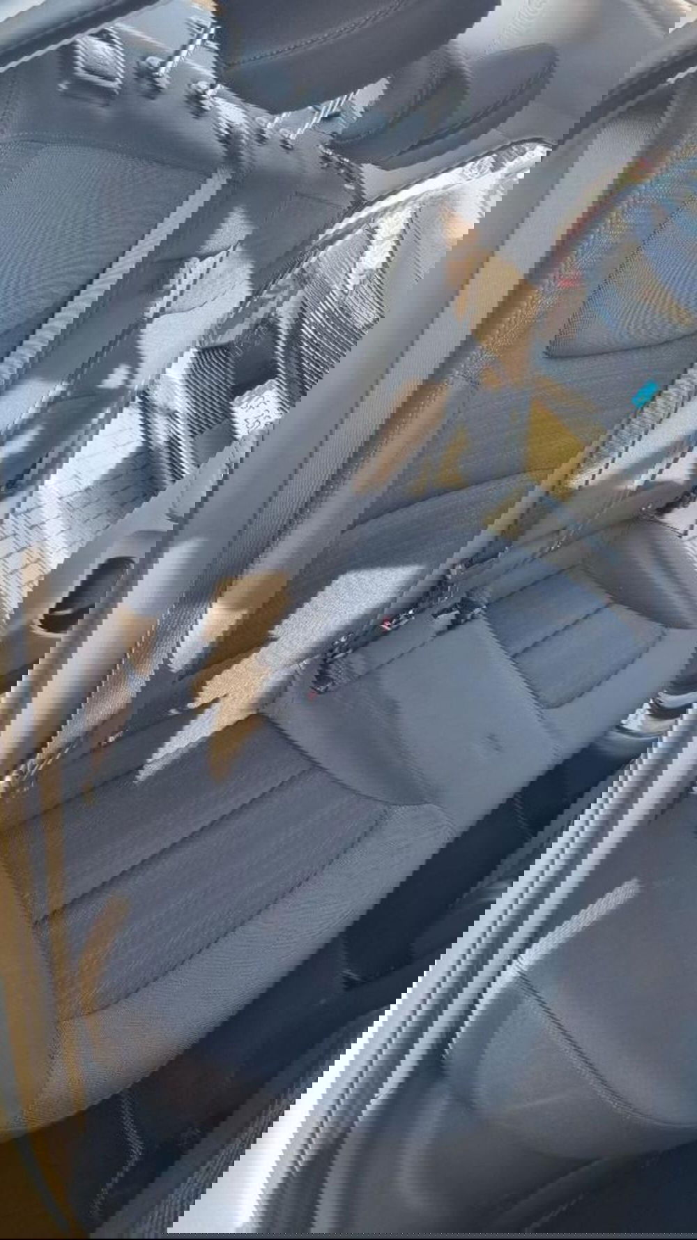 Hyundai Ioniq usata a Savona (15)