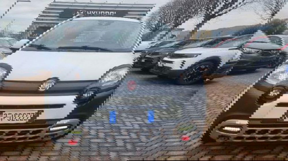 Fiat Panda usata a Savona