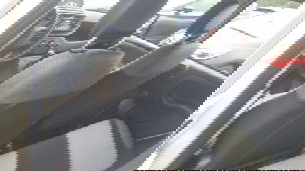 Fiat Panda usata a Savona (15)