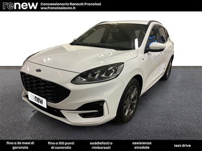 Ford Kuga 1.5 EcoBlue 120 CV aut. 2WD ST-Line X del 2022 usata a Mirandola
