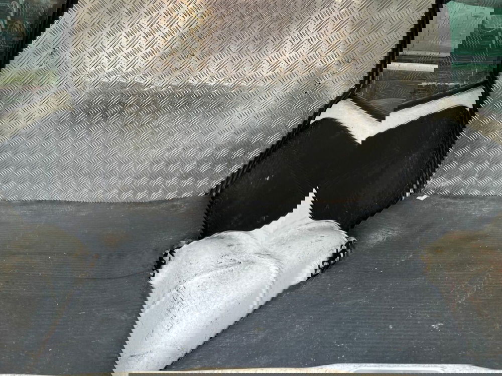 Fiat Seicento usata a Sondrio (12)