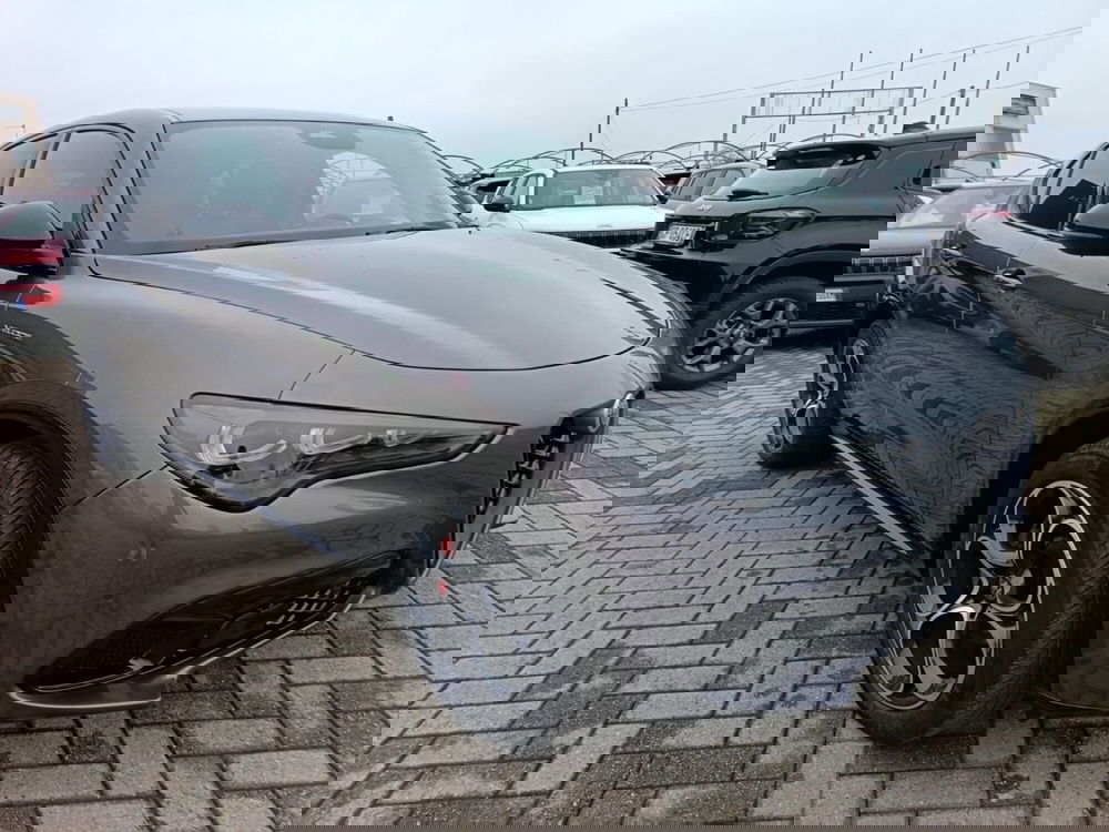 Alfa Romeo Stelvio usata a Alessandria (3)