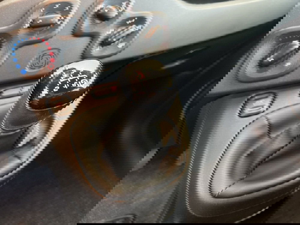 Fiat Panda Cross usata a Torino (12)