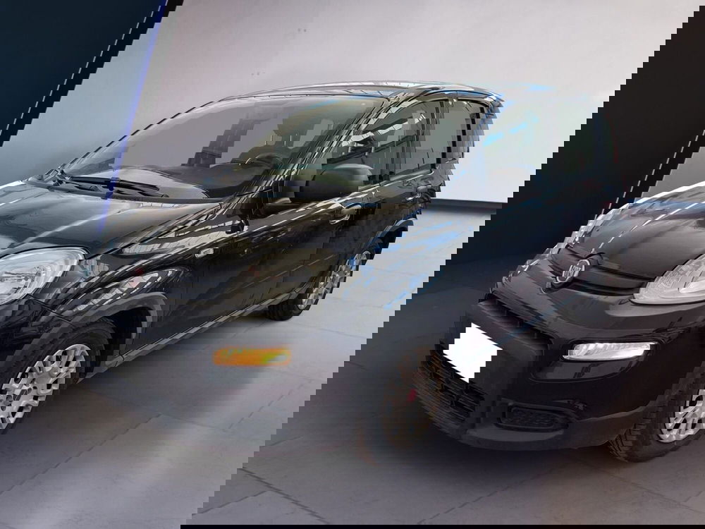 Fiat Panda Cross usata a Torino (2)