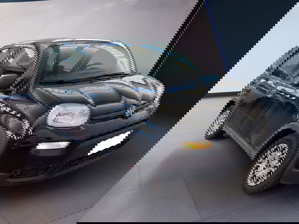 Fiat Panda Cross usata a Torino (3)