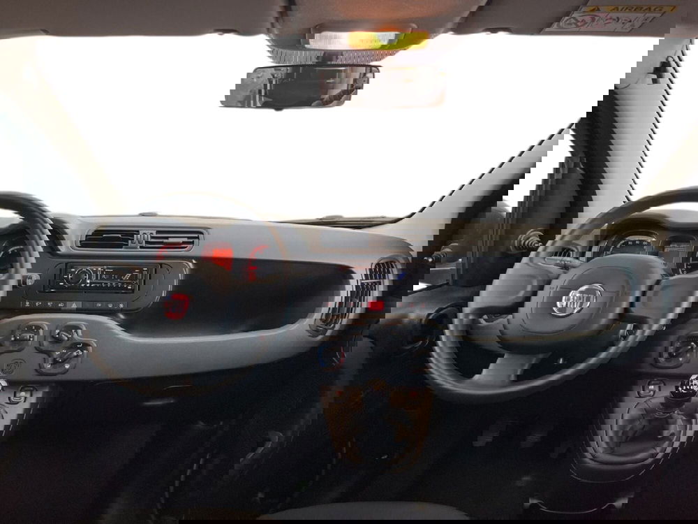 Fiat Panda Cross usata a Torino (9)