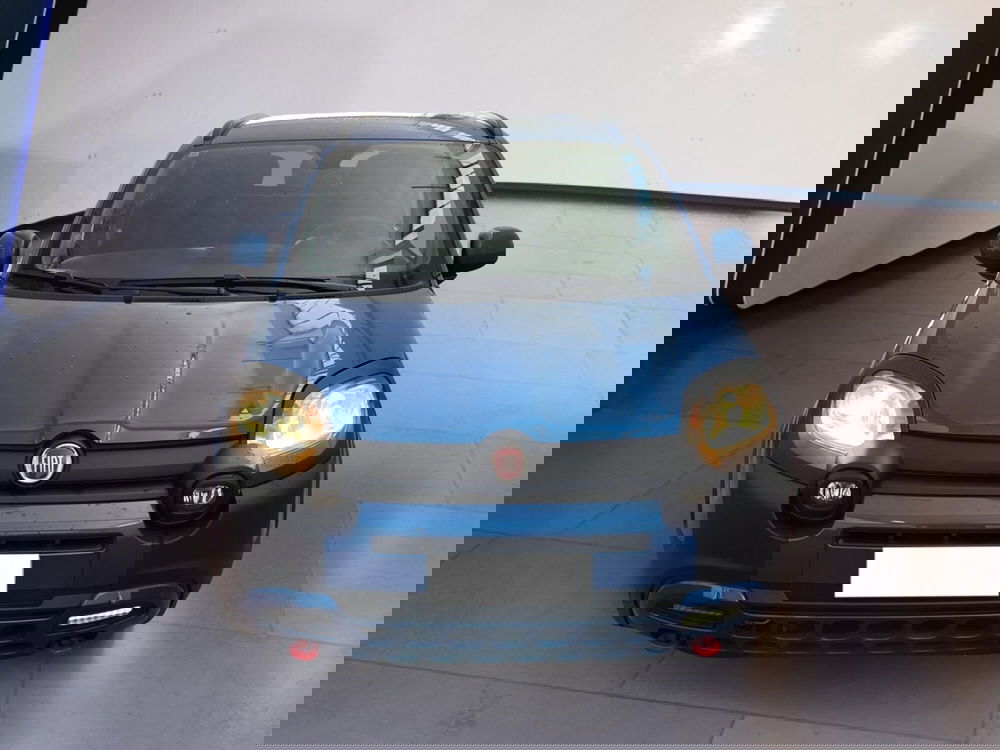 Fiat Panda usata a Torino