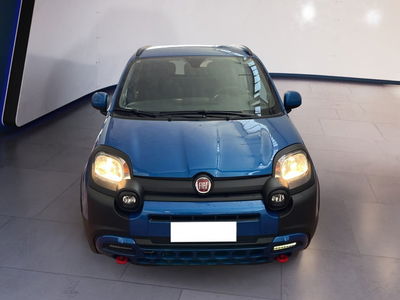 Fiat Panda 1.0 FireFly S&amp;S Hybrid City Cross del 2023 usata a Torino