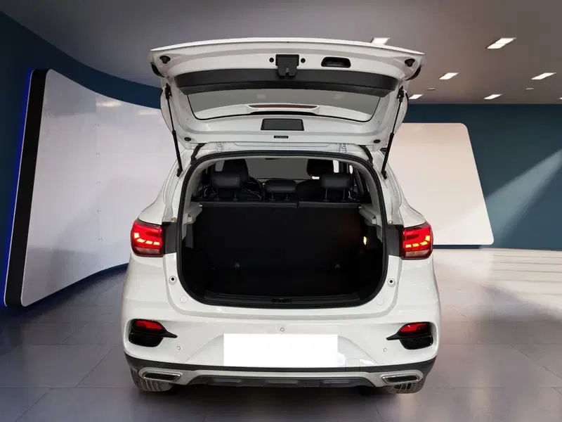 Mg ZS usata a Torino (7)