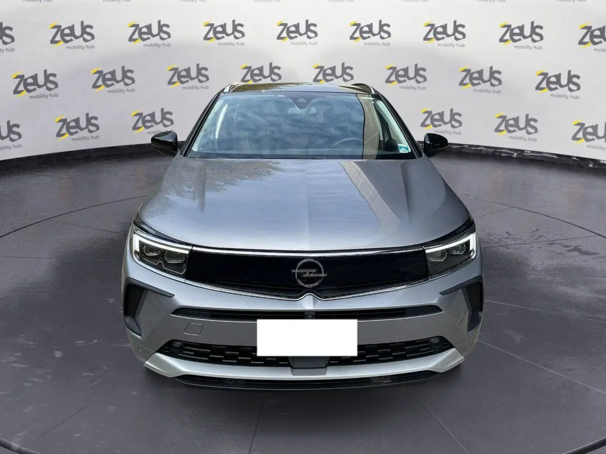 Opel Grandland usata a Ravenna (2)