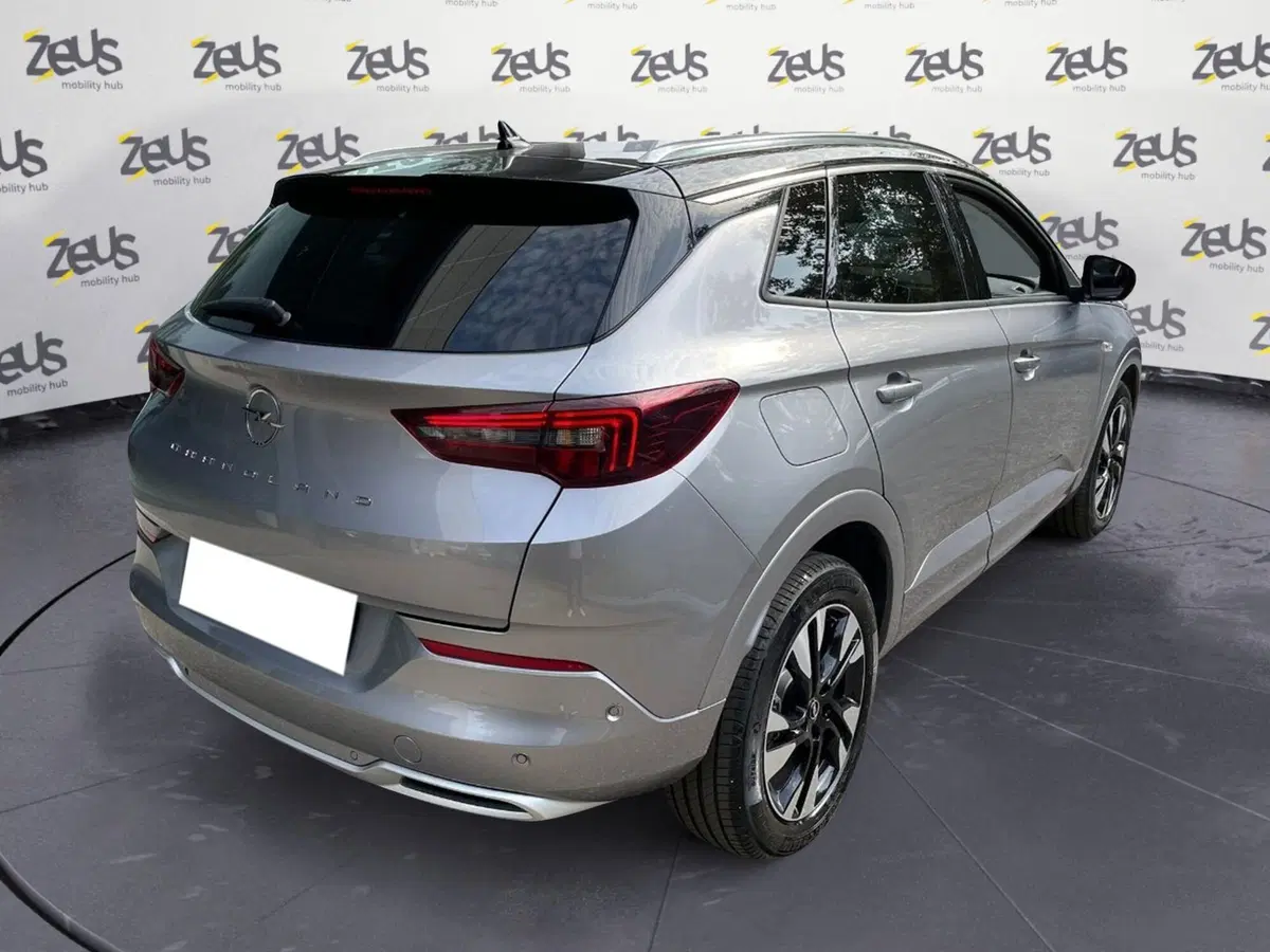 Opel Grandland usata a Ravenna (9)