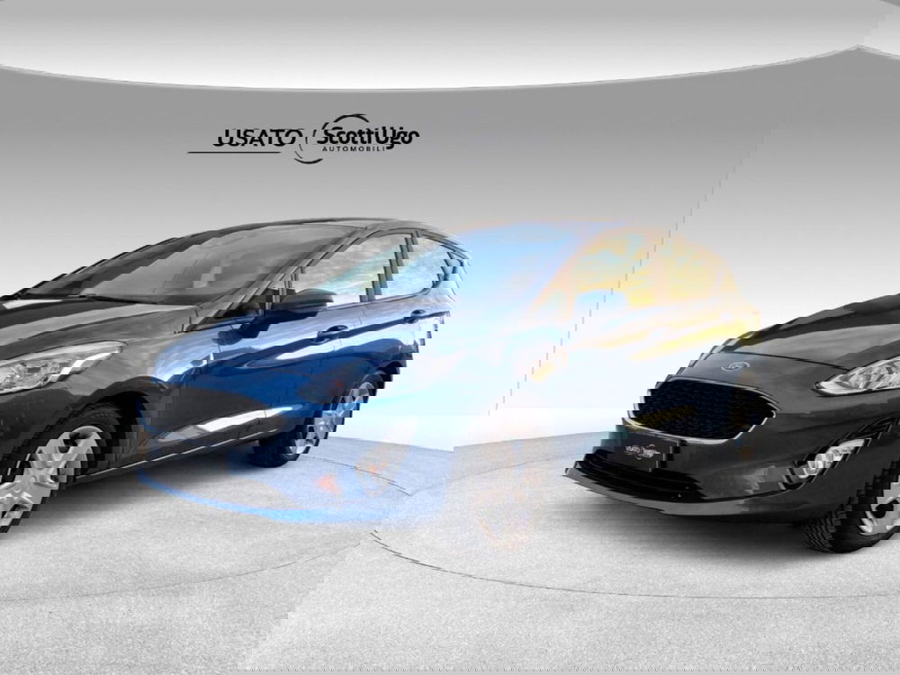 Ford Fiesta usata a Pisa