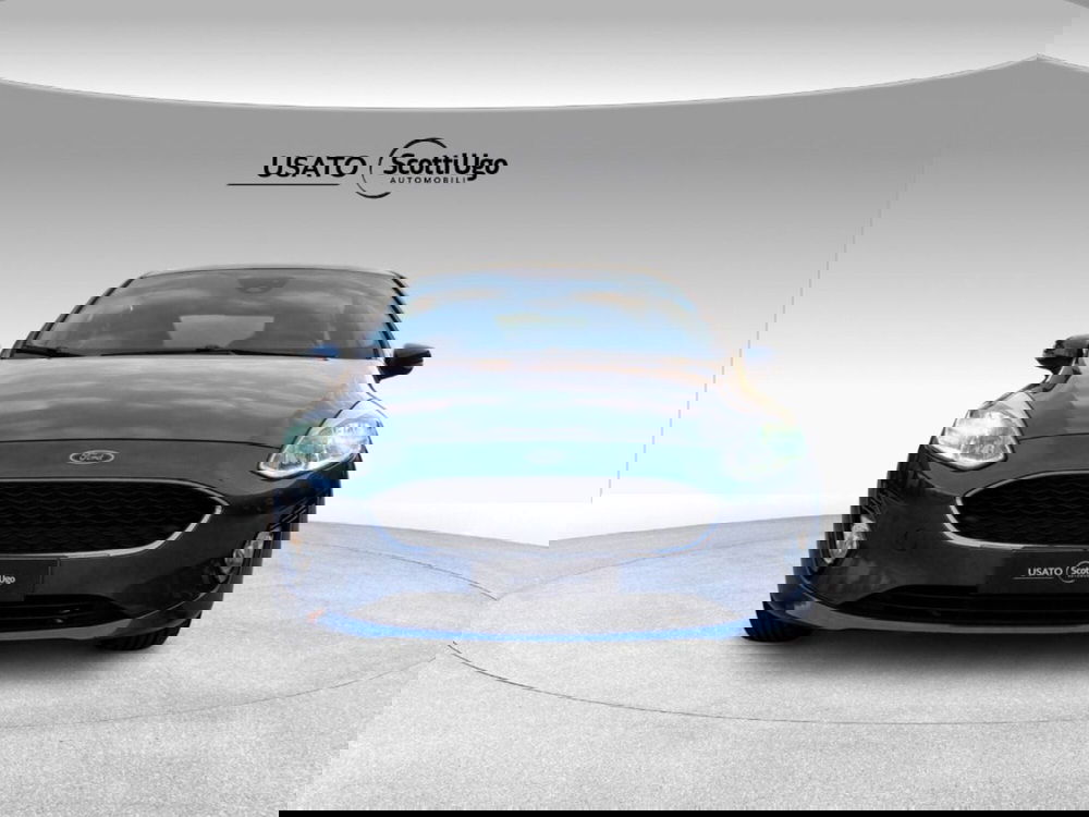 Ford Fiesta usata a Pisa (2)