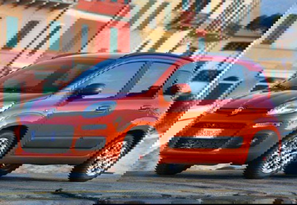 Fiat Panda usata a Pescara (12)