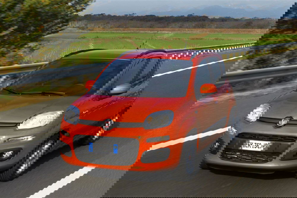 Fiat Panda usata a Pescara (2)