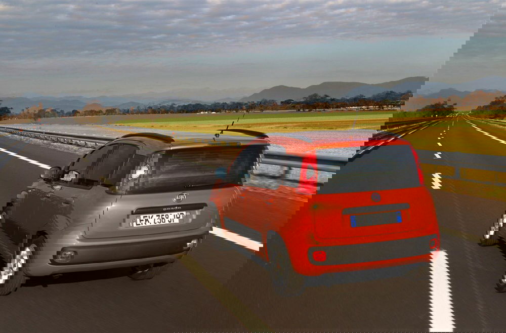 Fiat Panda usata a Pescara (5)