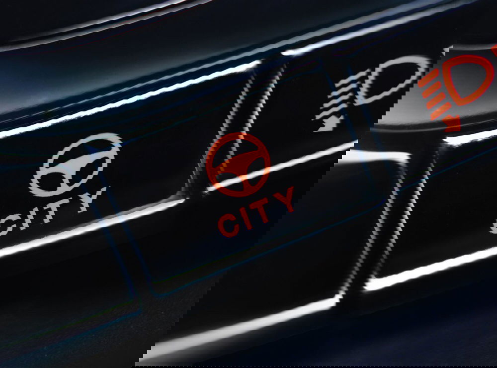 Fiat Panda usata a Pescara (8)