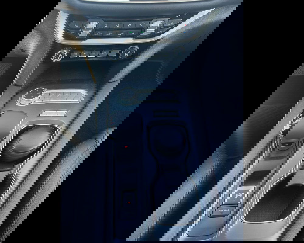 Foton Tunland usata a Siena (16)