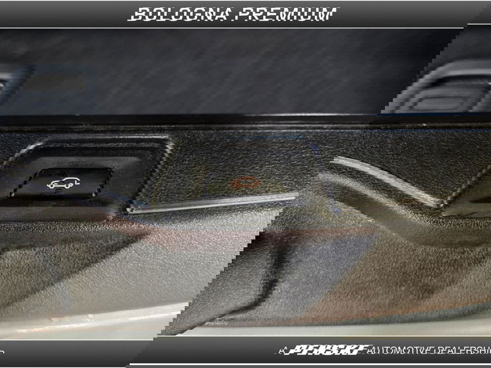 BMW X5 usata a Bologna (19)