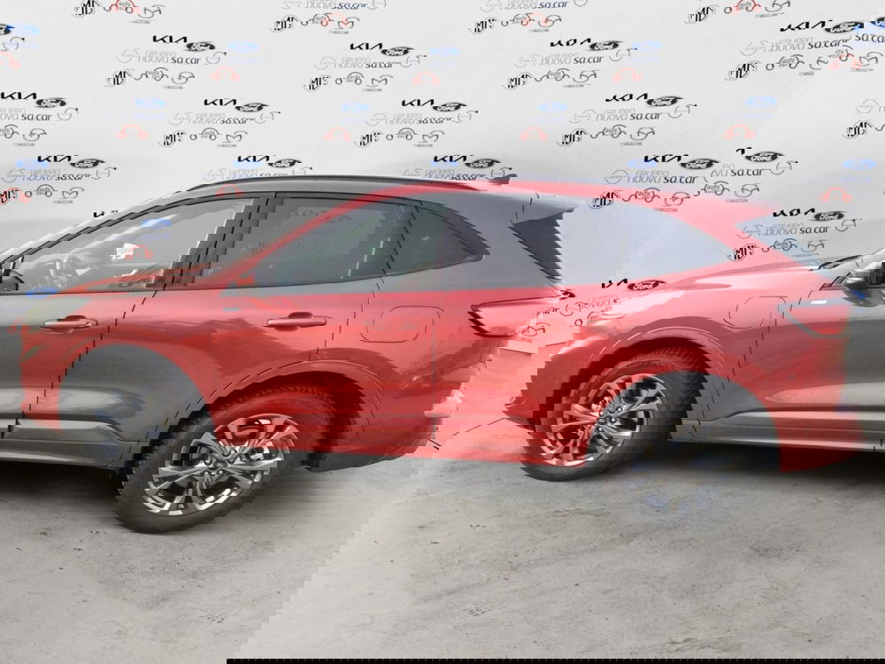 Ford Kuga usata a Novara (7)