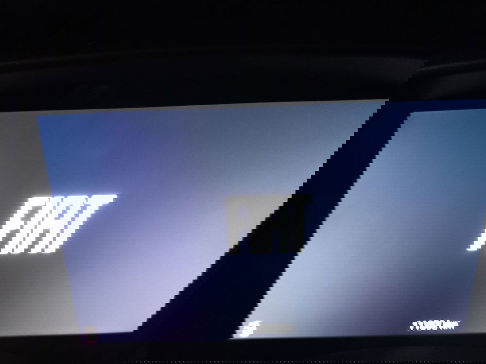 Fiat Panda Cross usata a Lucca (15)