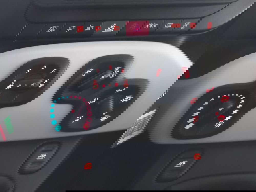 Fiat Panda Cross usata a Lucca (18)