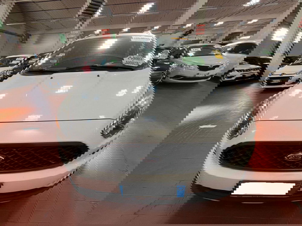 Ford Fiesta usata a Lucca (2)