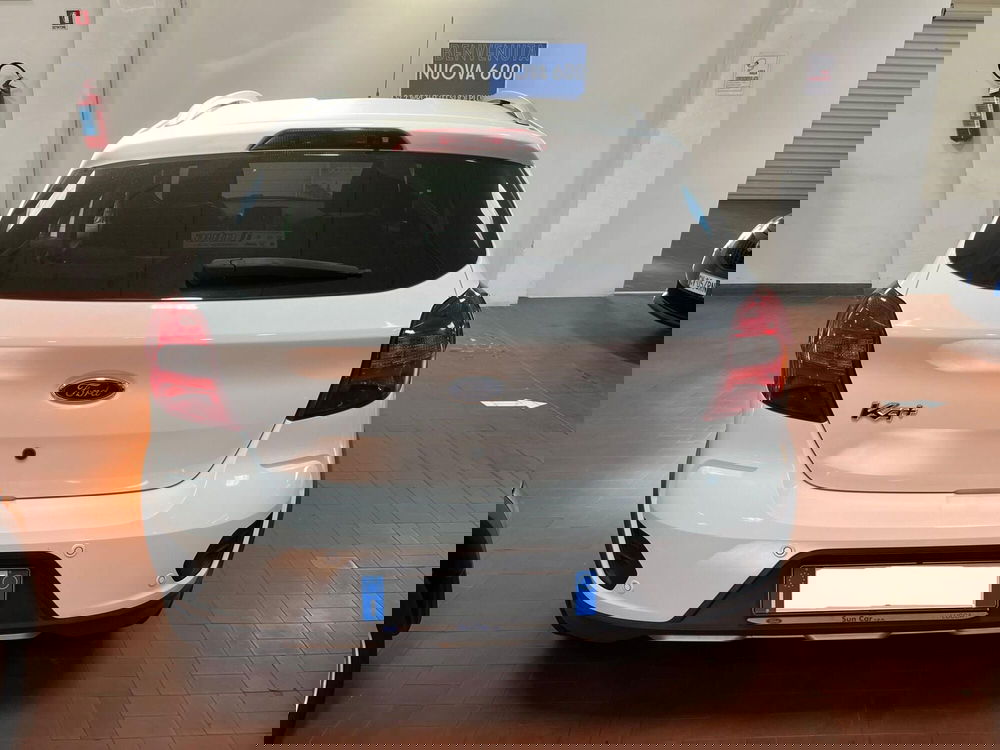 Ford Fiesta usata a Lucca (6)