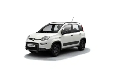 Fiat Panda 0.9 TwinAir Turbo S&amp;S 4x4 Wild del 2020 usata a Rende
