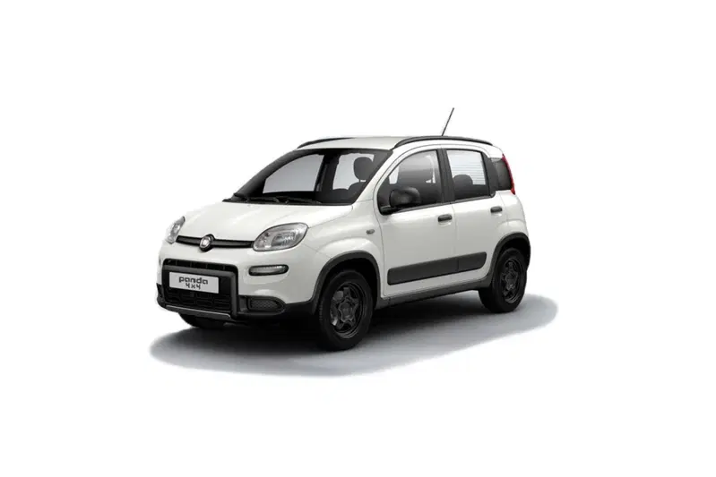 Fiat Panda usata a Cosenza
