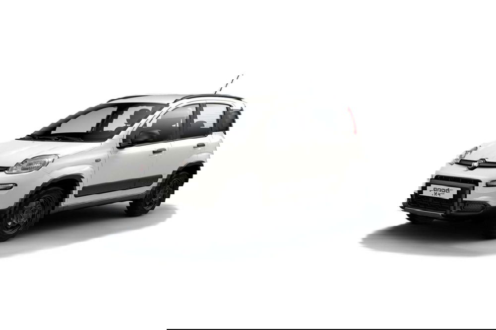 Fiat Panda usata a Cosenza