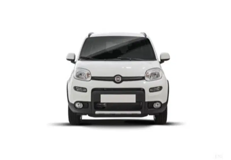 Fiat Panda usata a Cosenza (10)