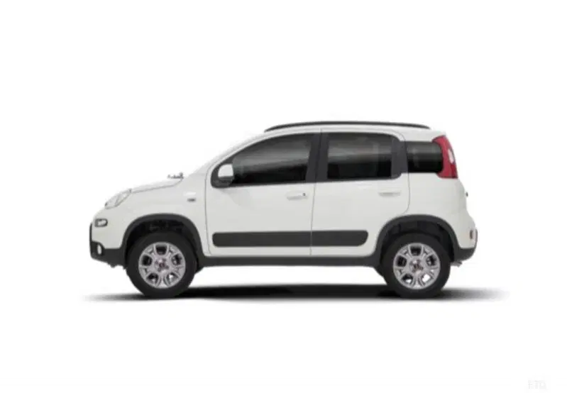 Fiat Panda usata a Cosenza (14)