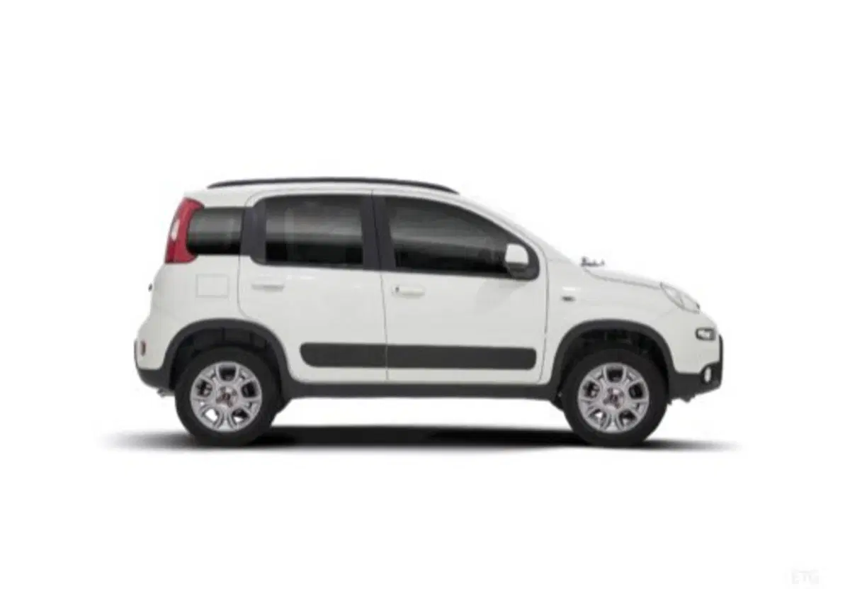Fiat Panda usata a Cosenza (16)
