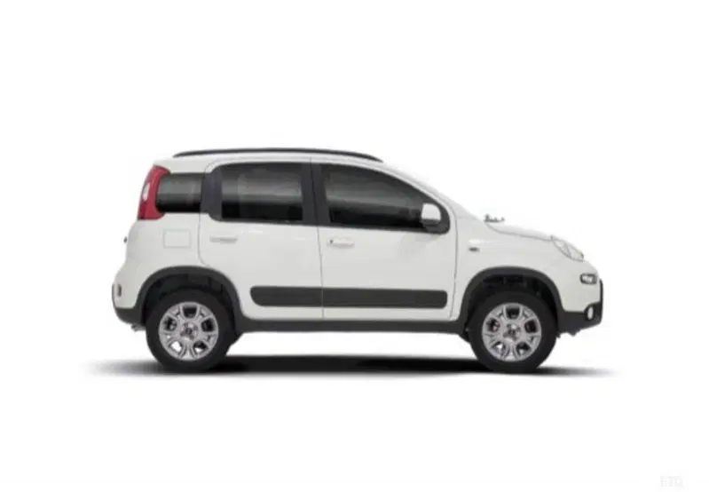 Fiat Panda usata a Cosenza (16)