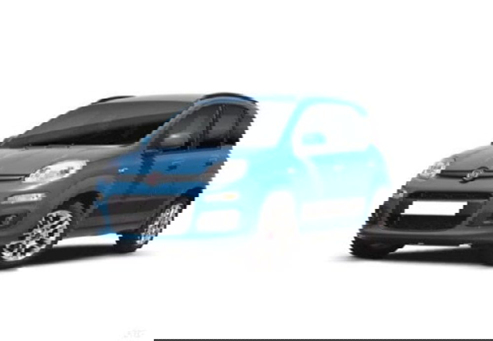 Fiat Panda usata a Cosenza (5)