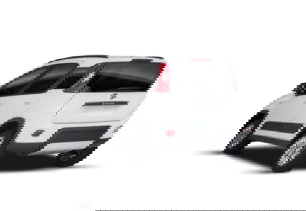 Fiat Panda usata a Cosenza (8)