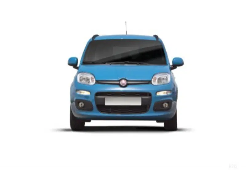 Fiat Panda usata a Cosenza (9)