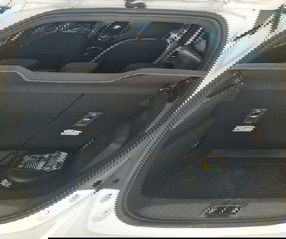 Ford Fiesta usata a Terni (10)