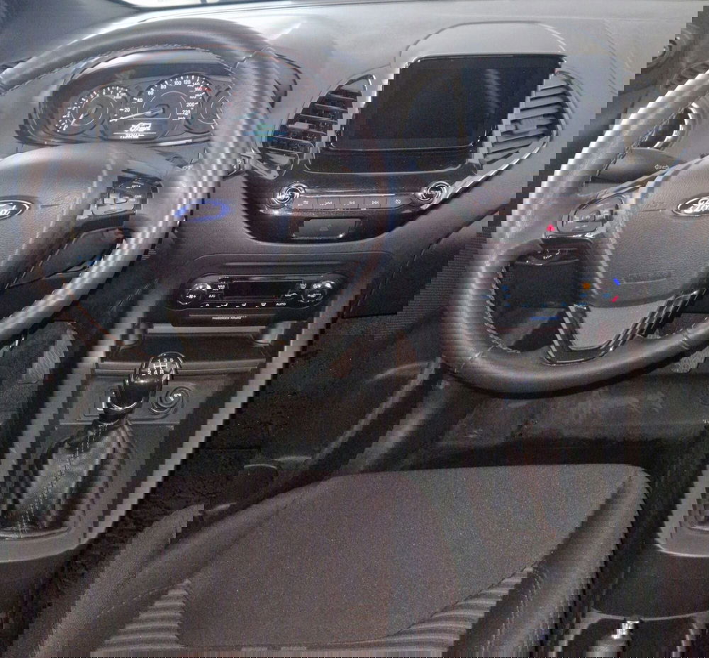 Ford Fiesta usata a Terni (11)