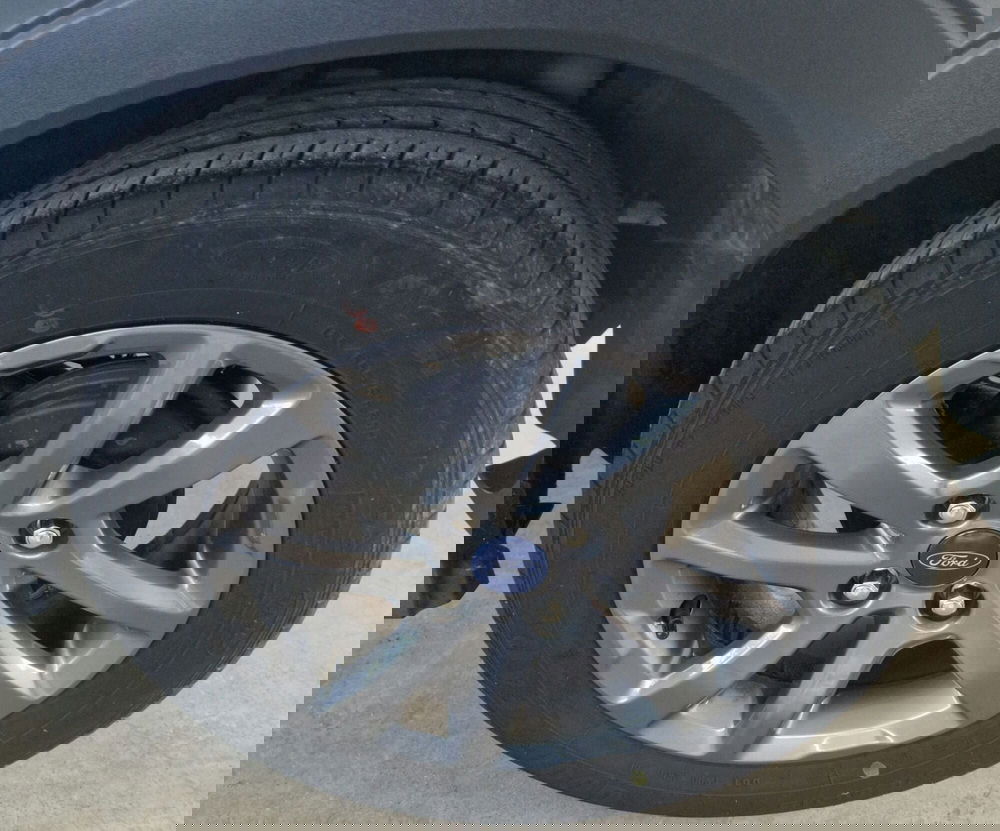 Ford Fiesta usata a Terni (15)