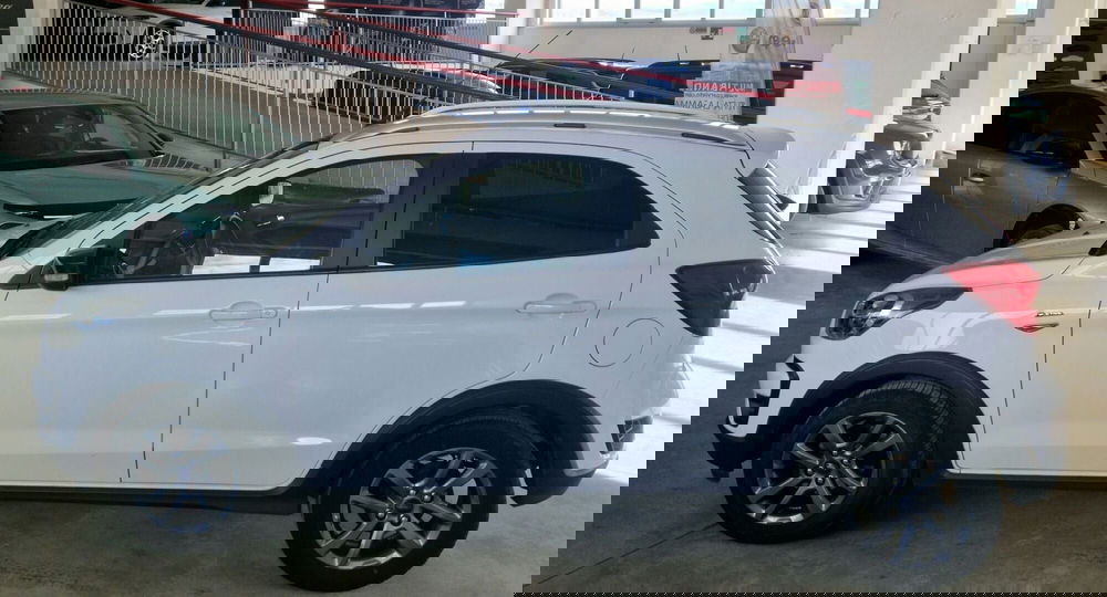 Ford Fiesta usata a Terni (3)